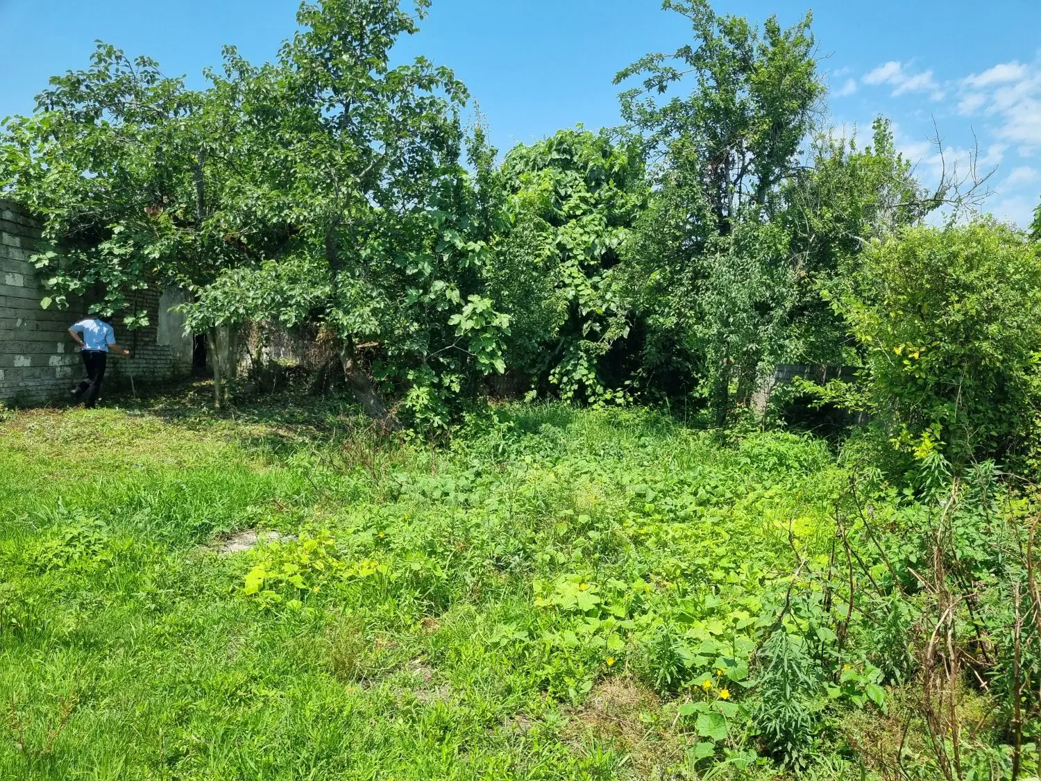 زمین مسکونی ویلایی