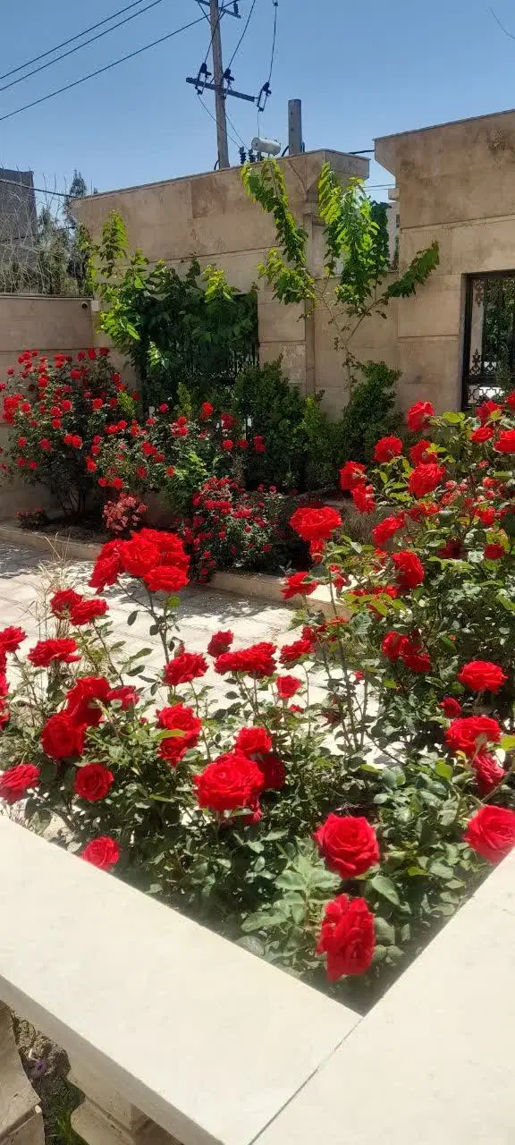 فروش فوری  ۱۳۰ متر سه خواب  حاشیه الهیه