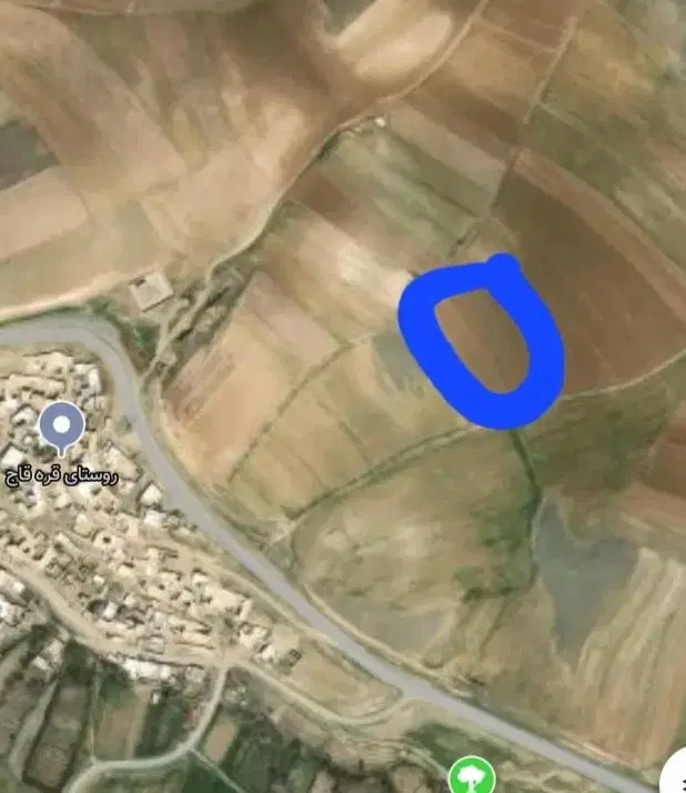 زمین کشاورزی دیم وآبی دینور