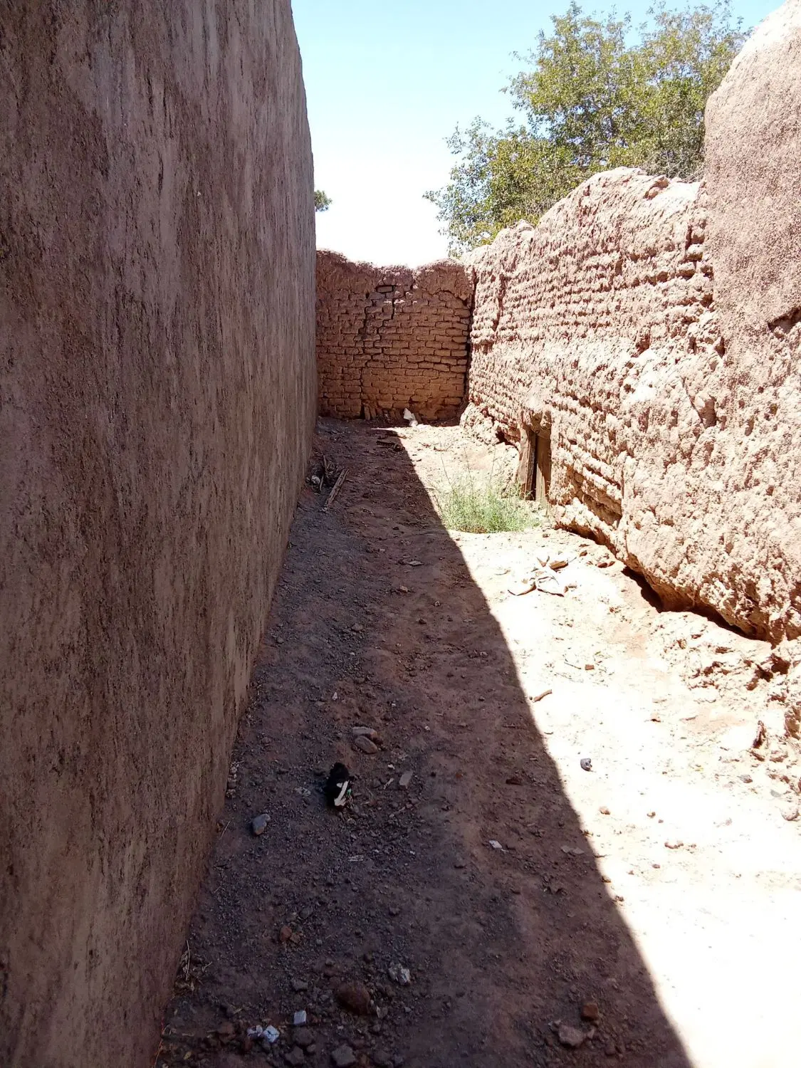 فروش زمین