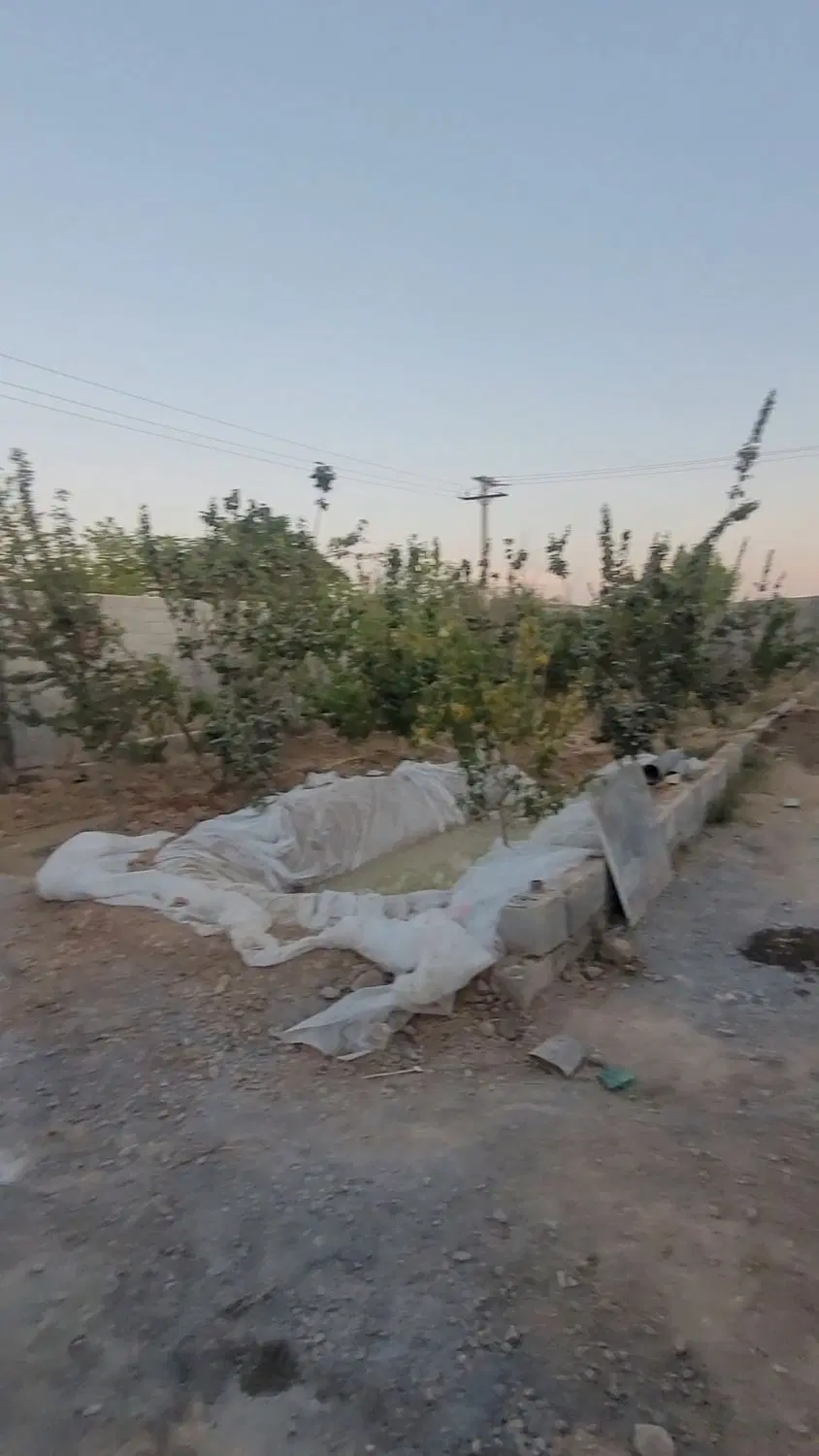 باغ در صحرا سوخته زازران