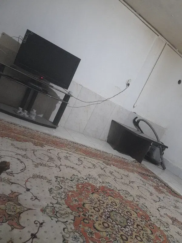 هم خانه خانوم نیازمندیم