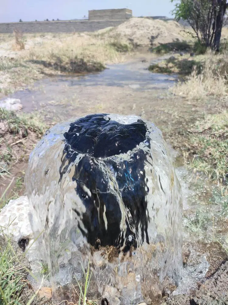 زمین، باغچه، باغ