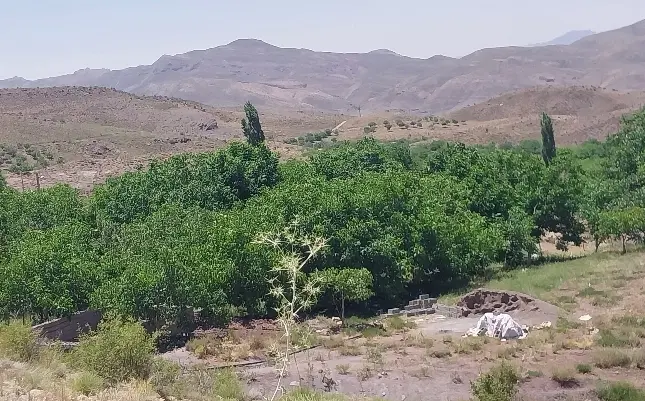 زمین ۱۴ قصبی کهنو ماهان