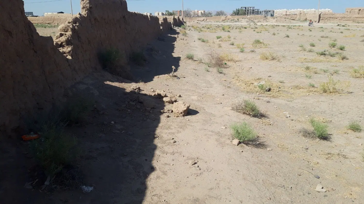 زمین کشاورزی فیروز اباد