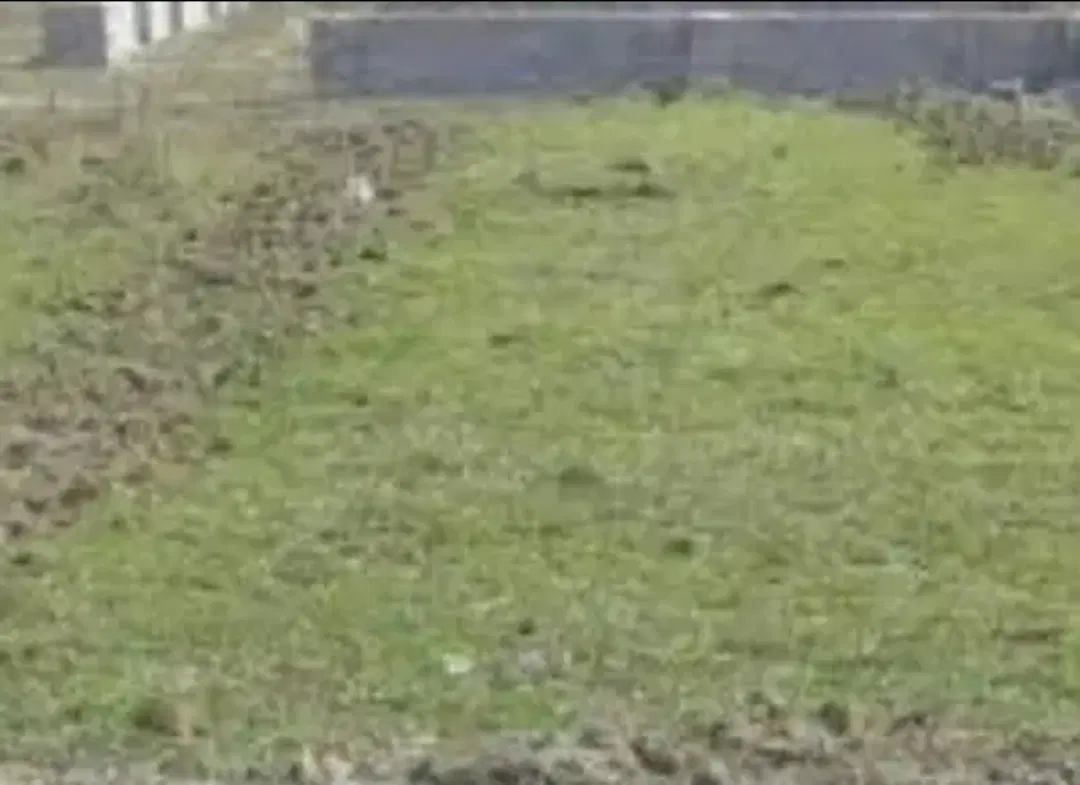 زمین مسکونی