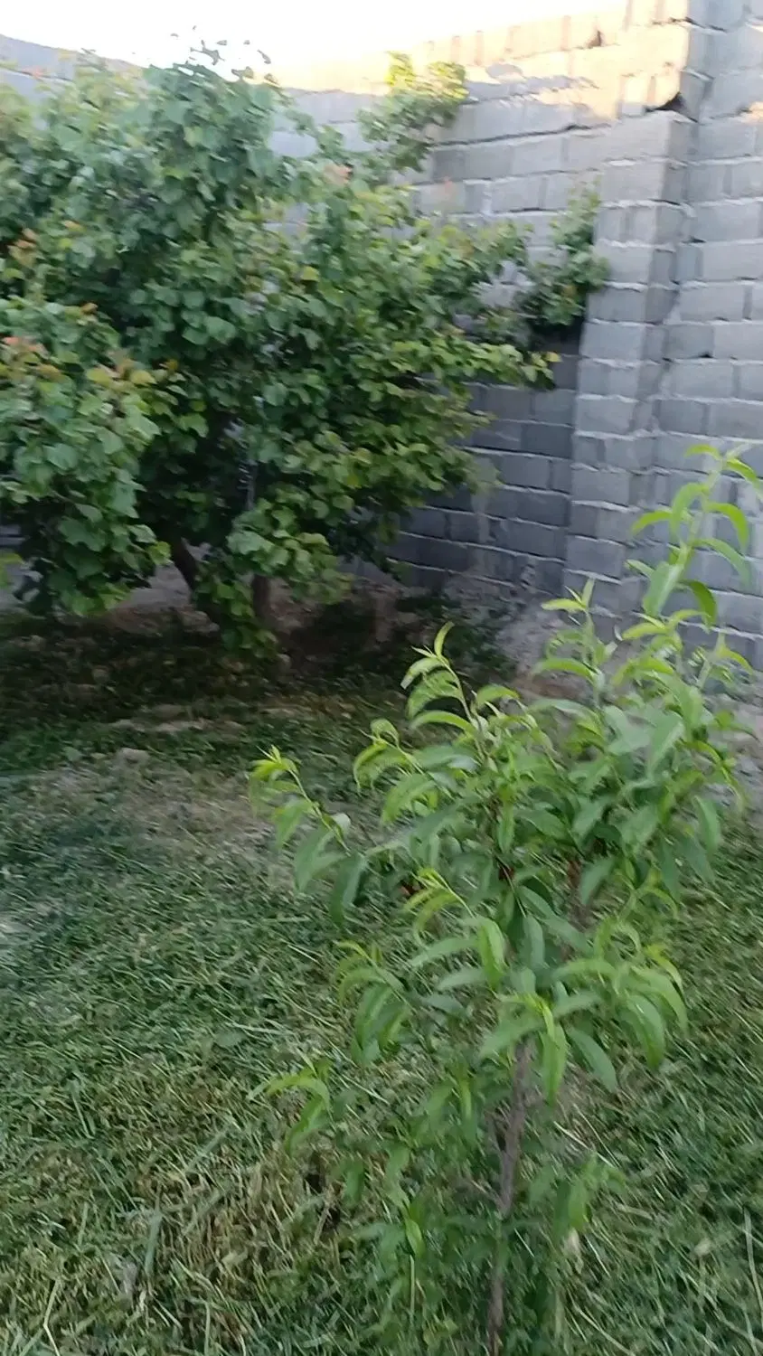فروش‌باغچه