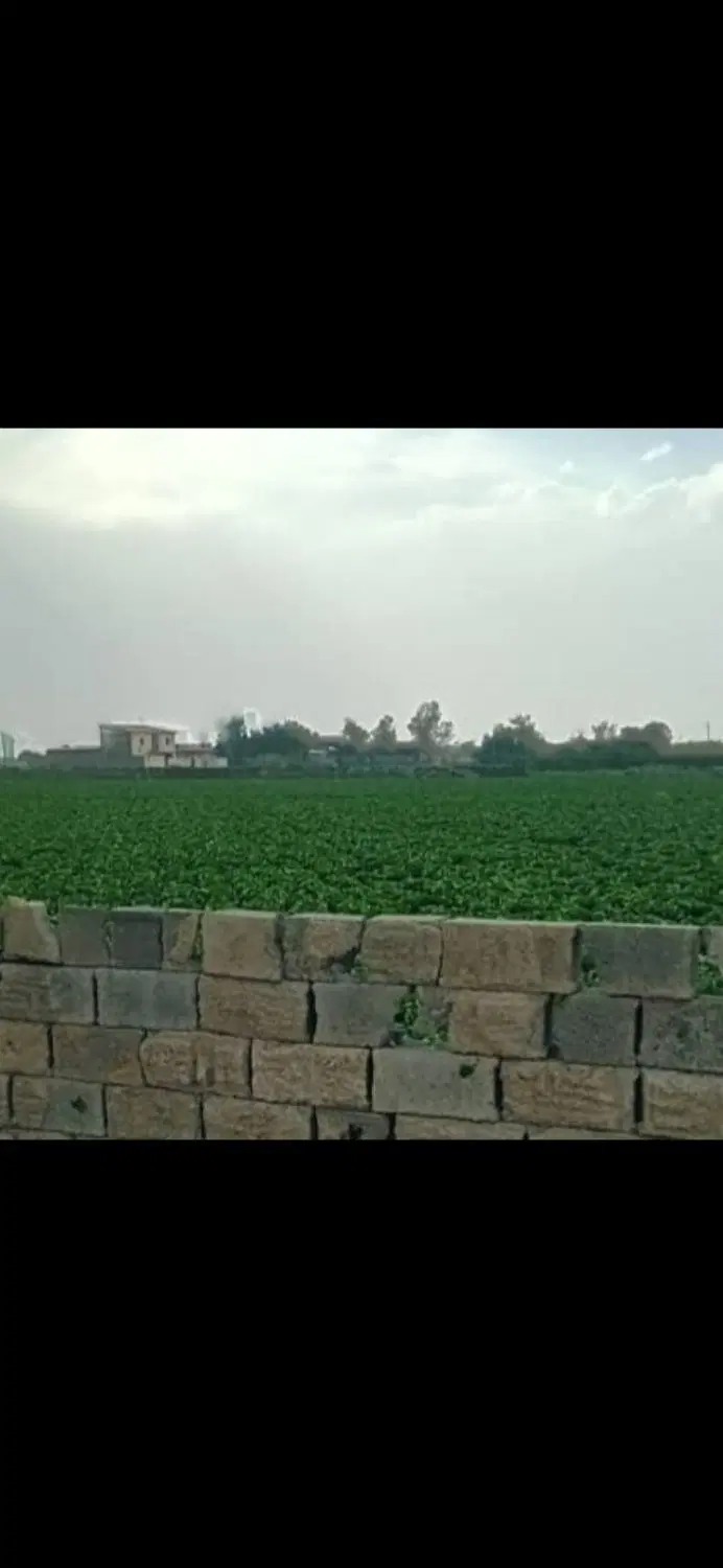 ۳۰۰۰ زمین تهراندشت