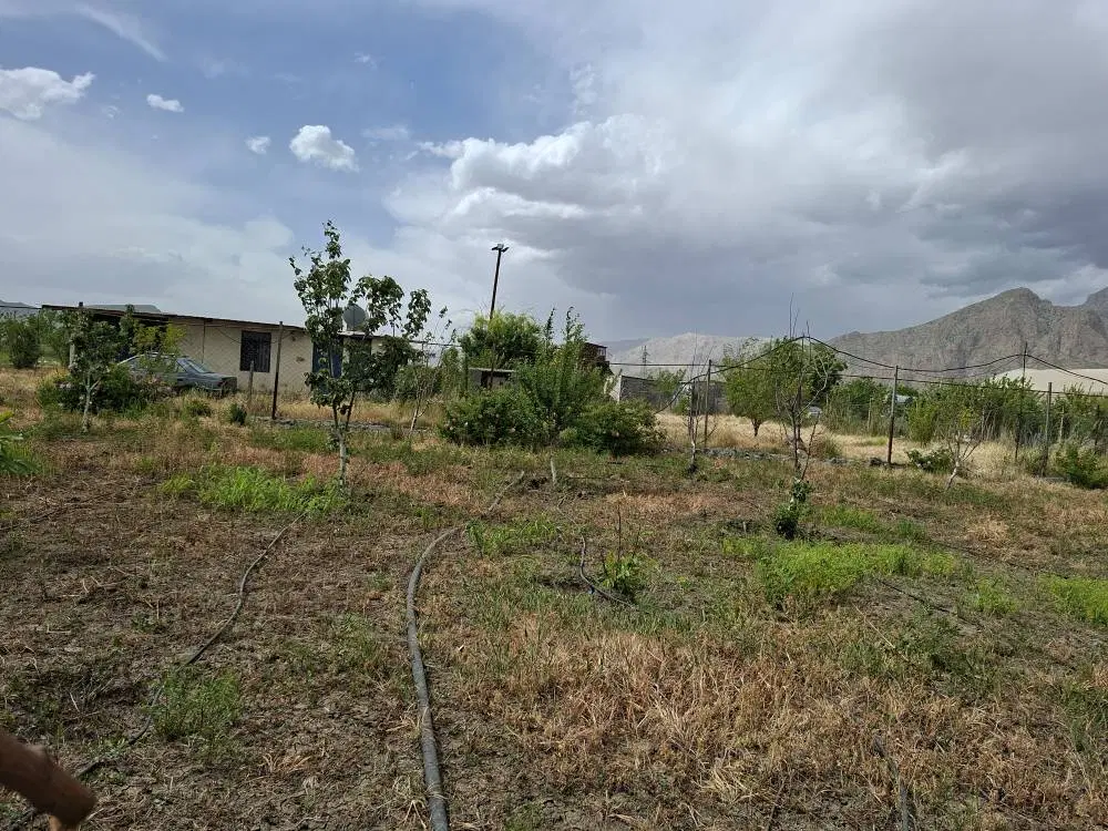 فروش یک قطعه باغ بر جاده اصلی  روستای گوهر چقا