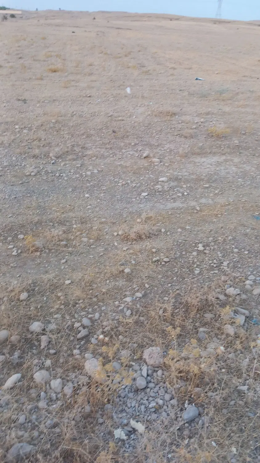 زمین چمگلک