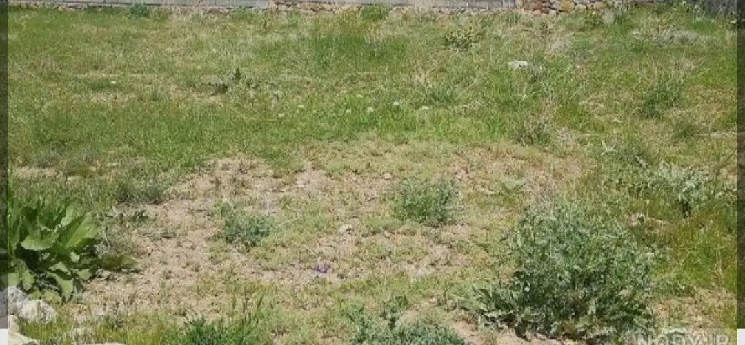 فروش زمین مسکونی پاکدشت