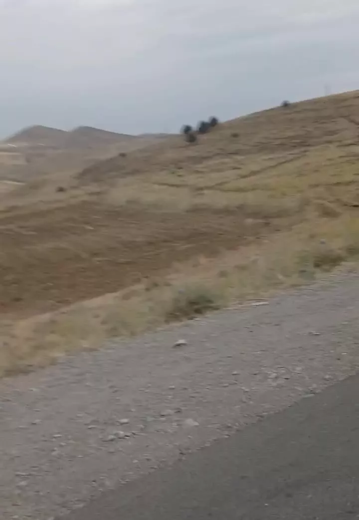 فروش زمین با مجوز مرغداری