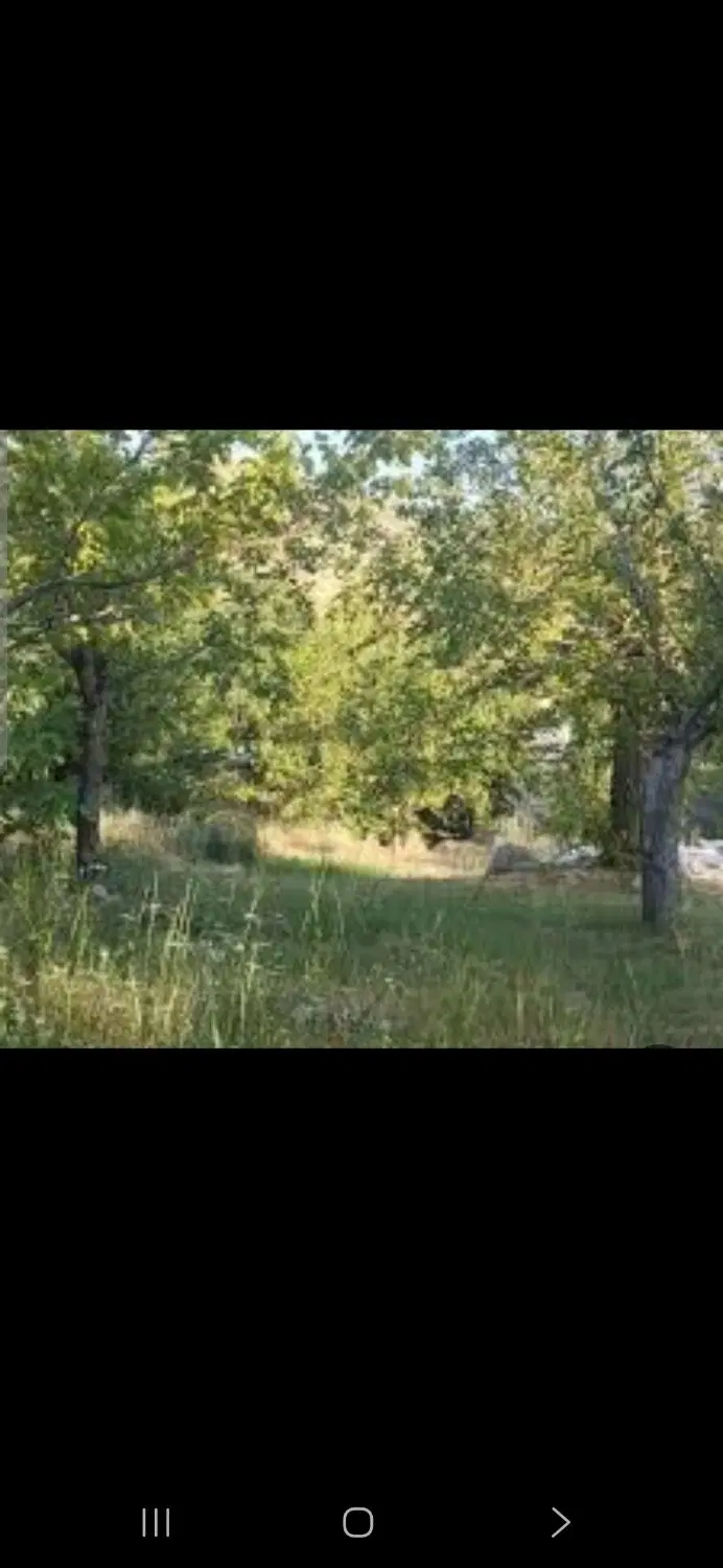 زمین سند دار