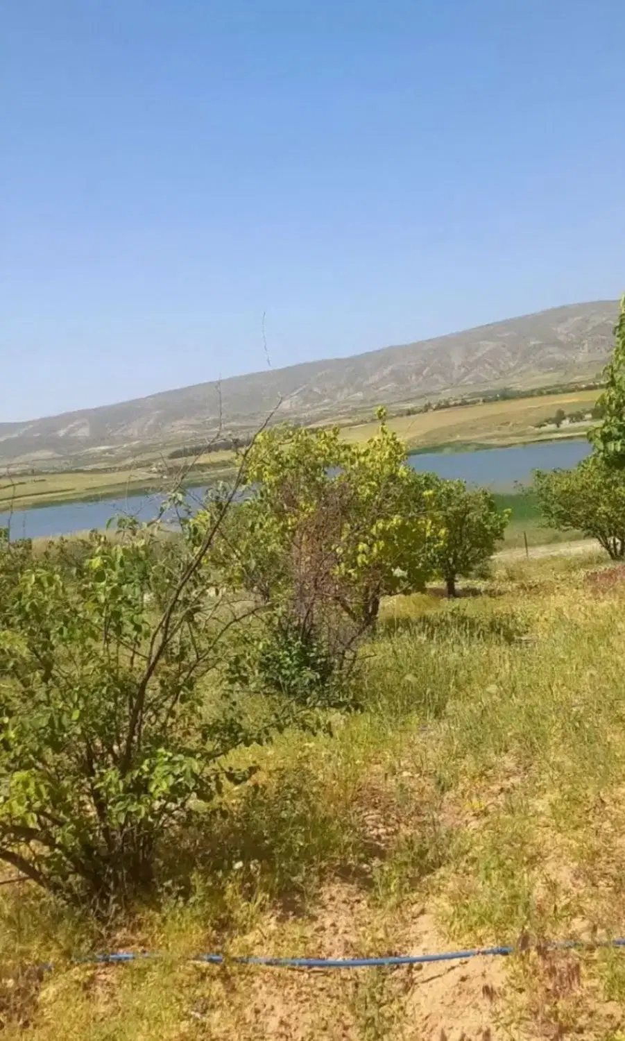 زمین باغی جاده سجافی جفت مسکن ملی