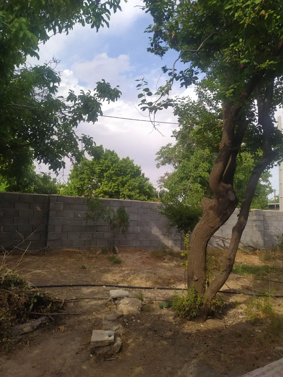 زمین نورپران