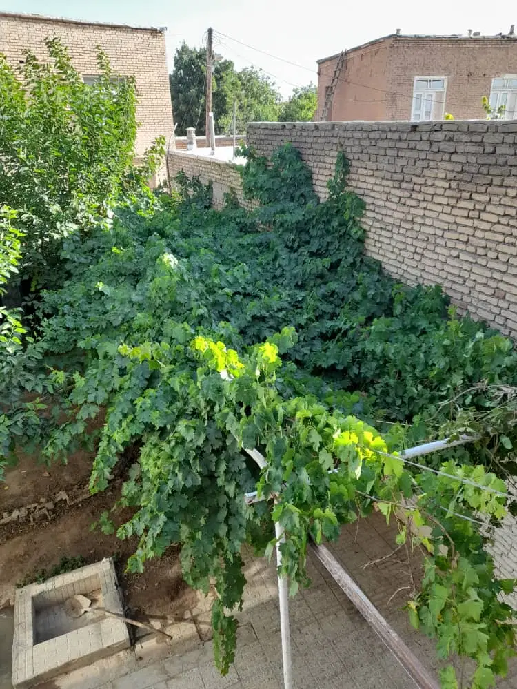 اجاره روزانه اتاق در نزدیکی شهرکرد