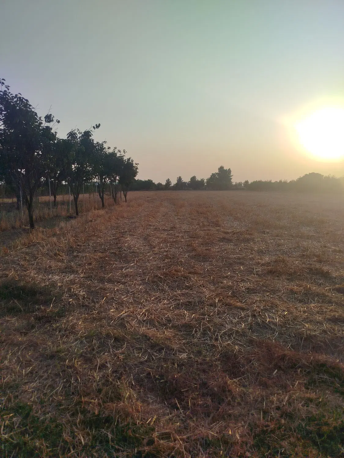 زمین مناسب کشاورزی باغ  یا سوله و انباری