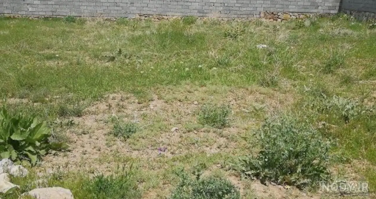 خونه ویلایی