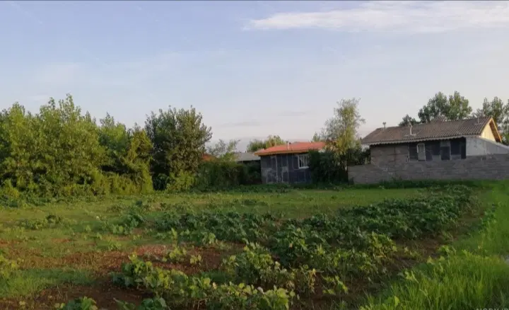 زمین