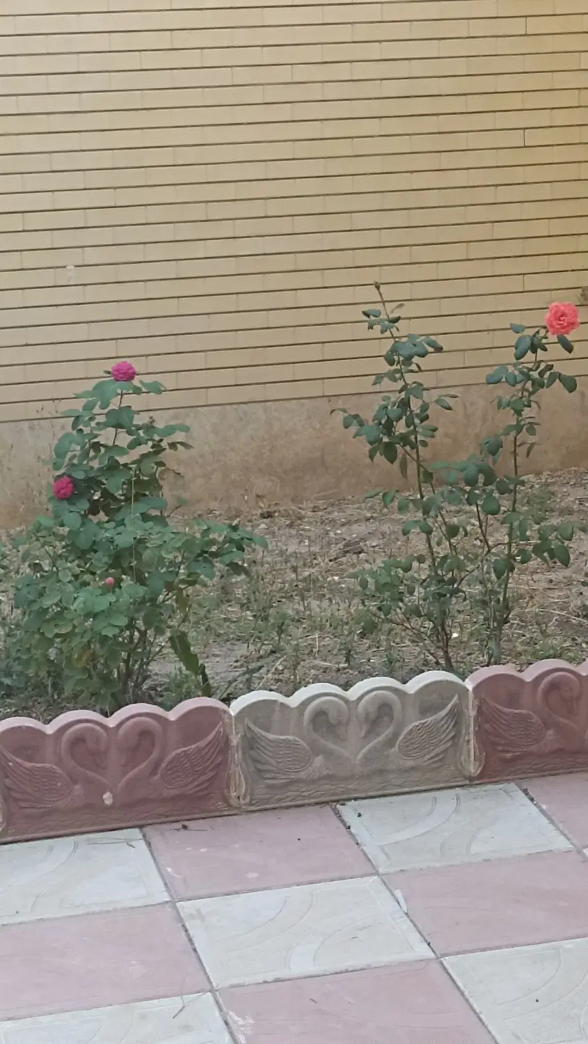 رهن کامل آپارتمان ۱۰۴ متر بر رسالت