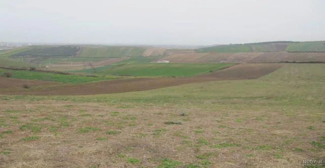 زمین روستای نشلج