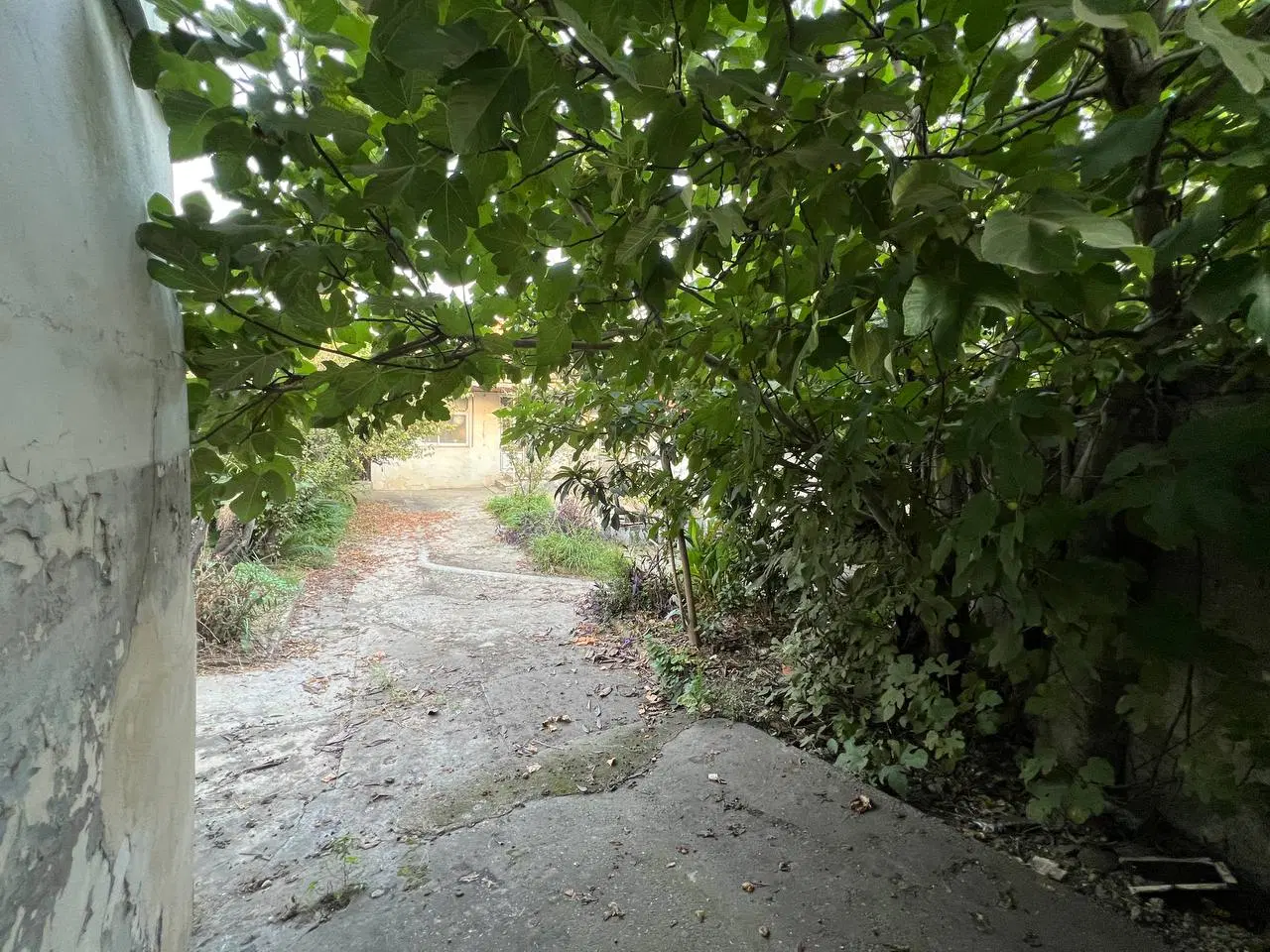 زمین مسکونی کلنگی