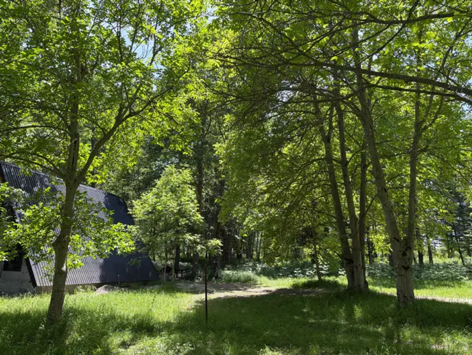 کلبه رویای چوبی