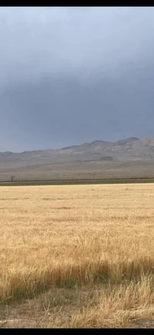 استان تهران کهریزک