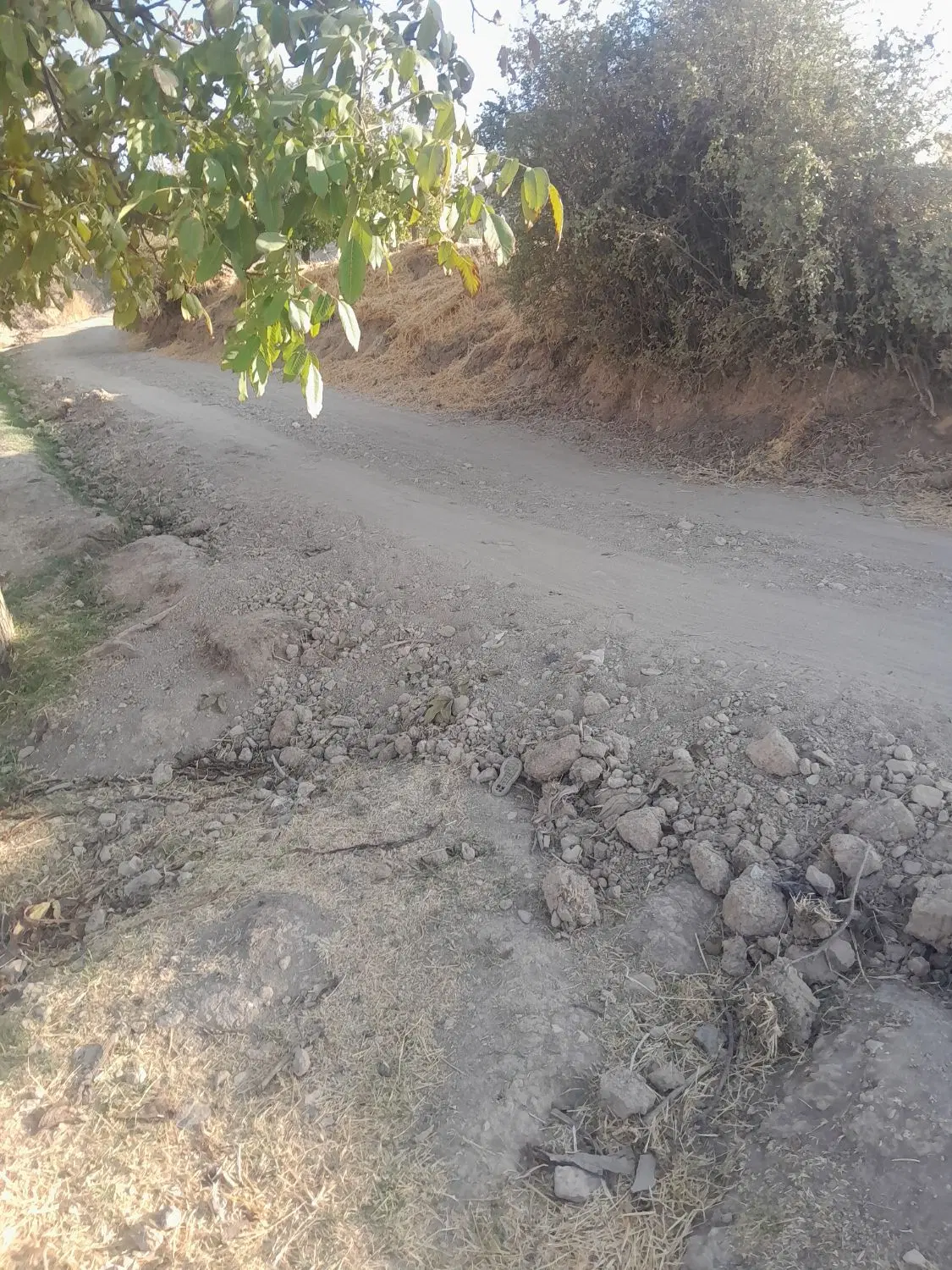 زمین کشاورزی همراه خانه باغی