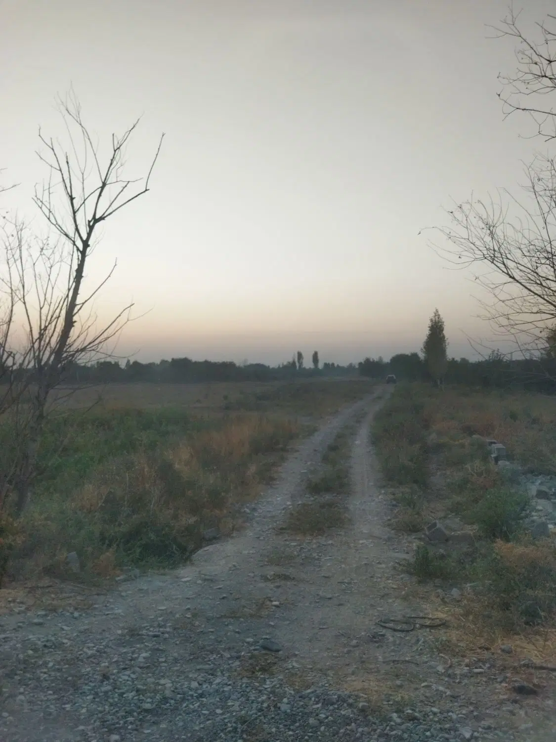زمین فروشی پیشک یک