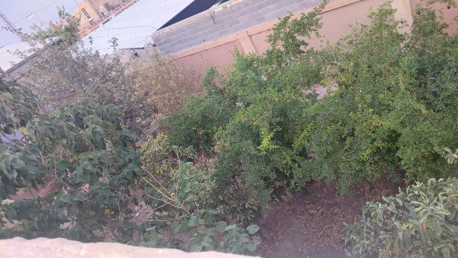باغ جار بعد از حیدر آباد