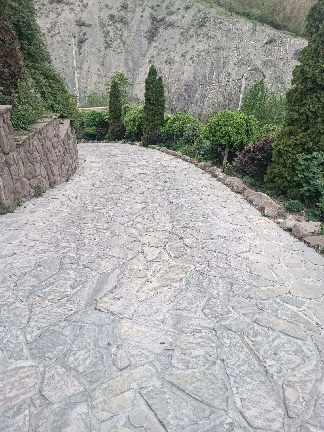 باغ انگوری به فروش میرسد
