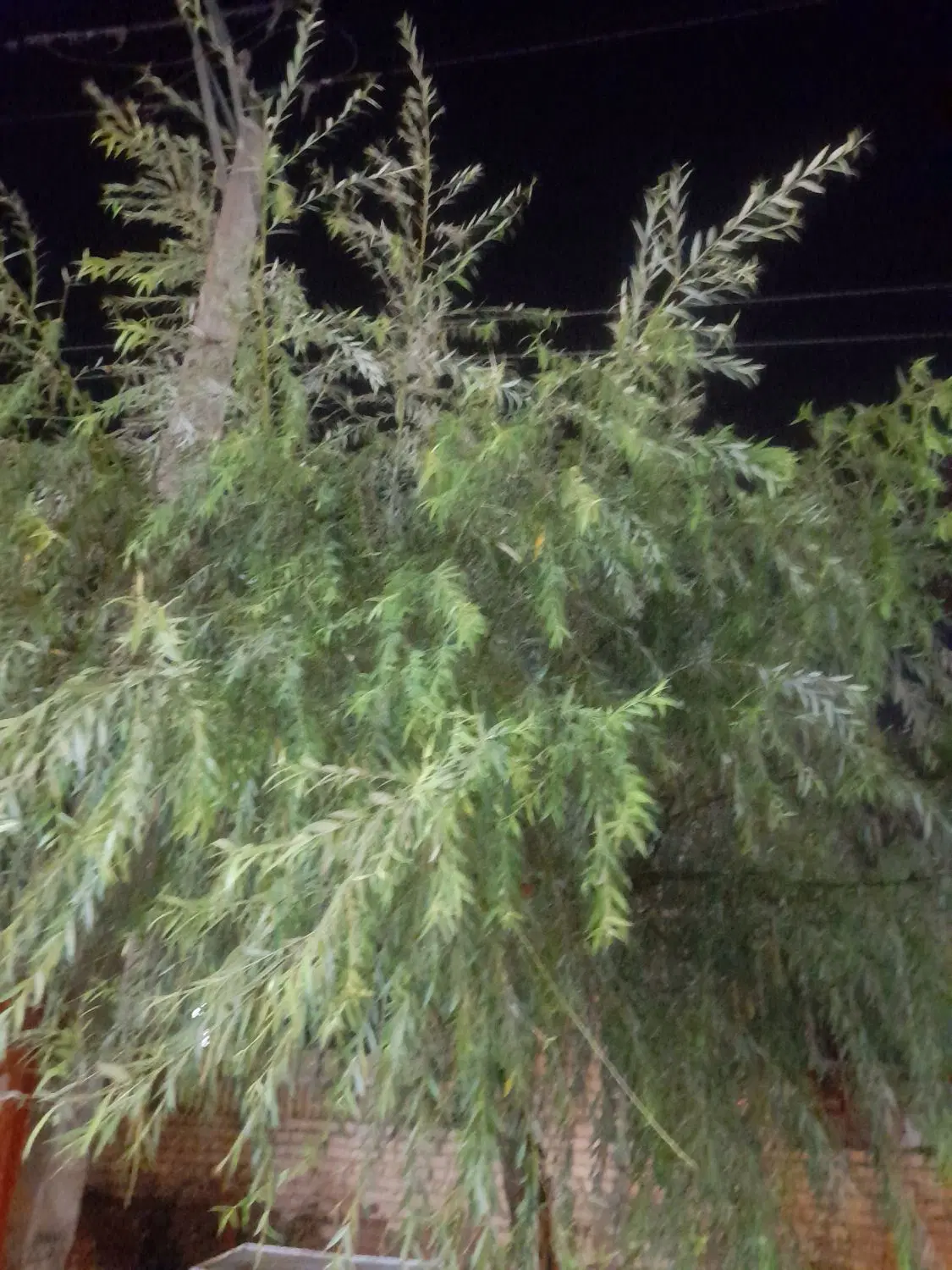 خانه ویلائی