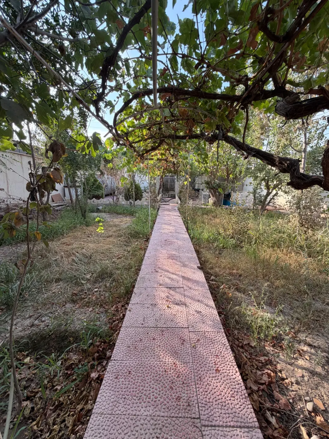 ۳۸۰ متر باغ قدیمی (گلزار)