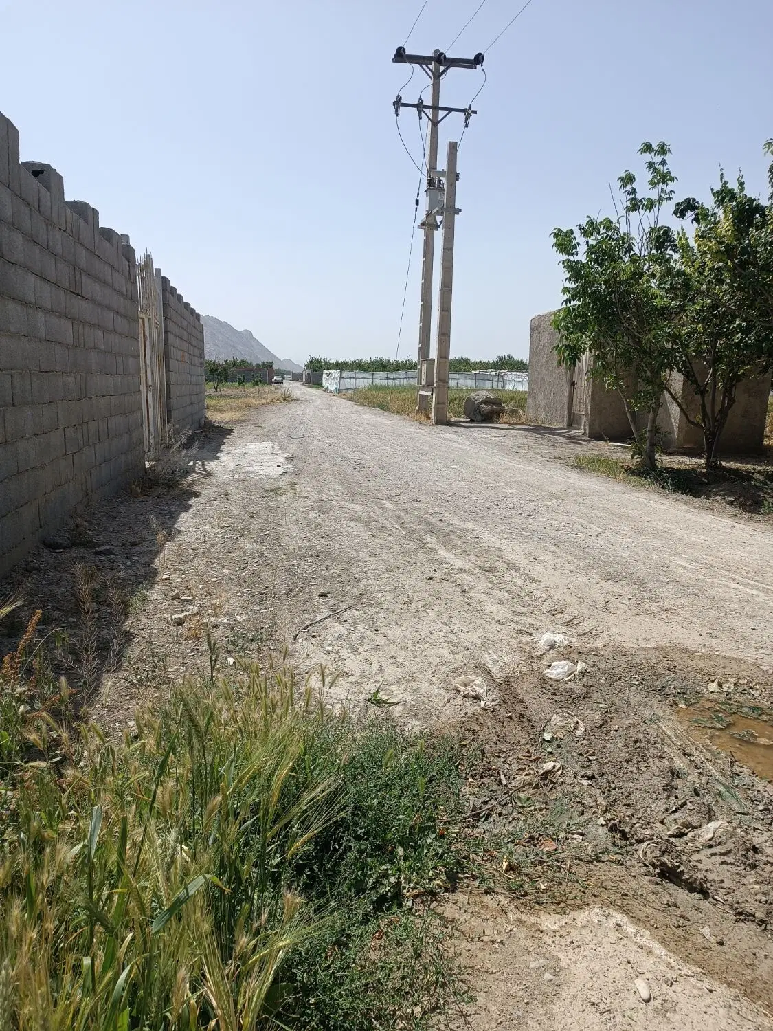 باغ فلاورجان