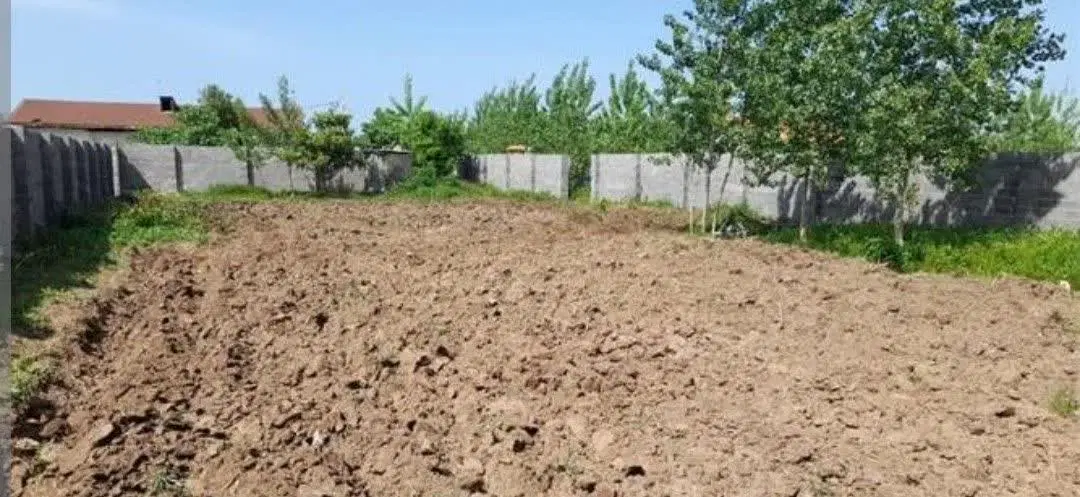 زمین کشاورزی