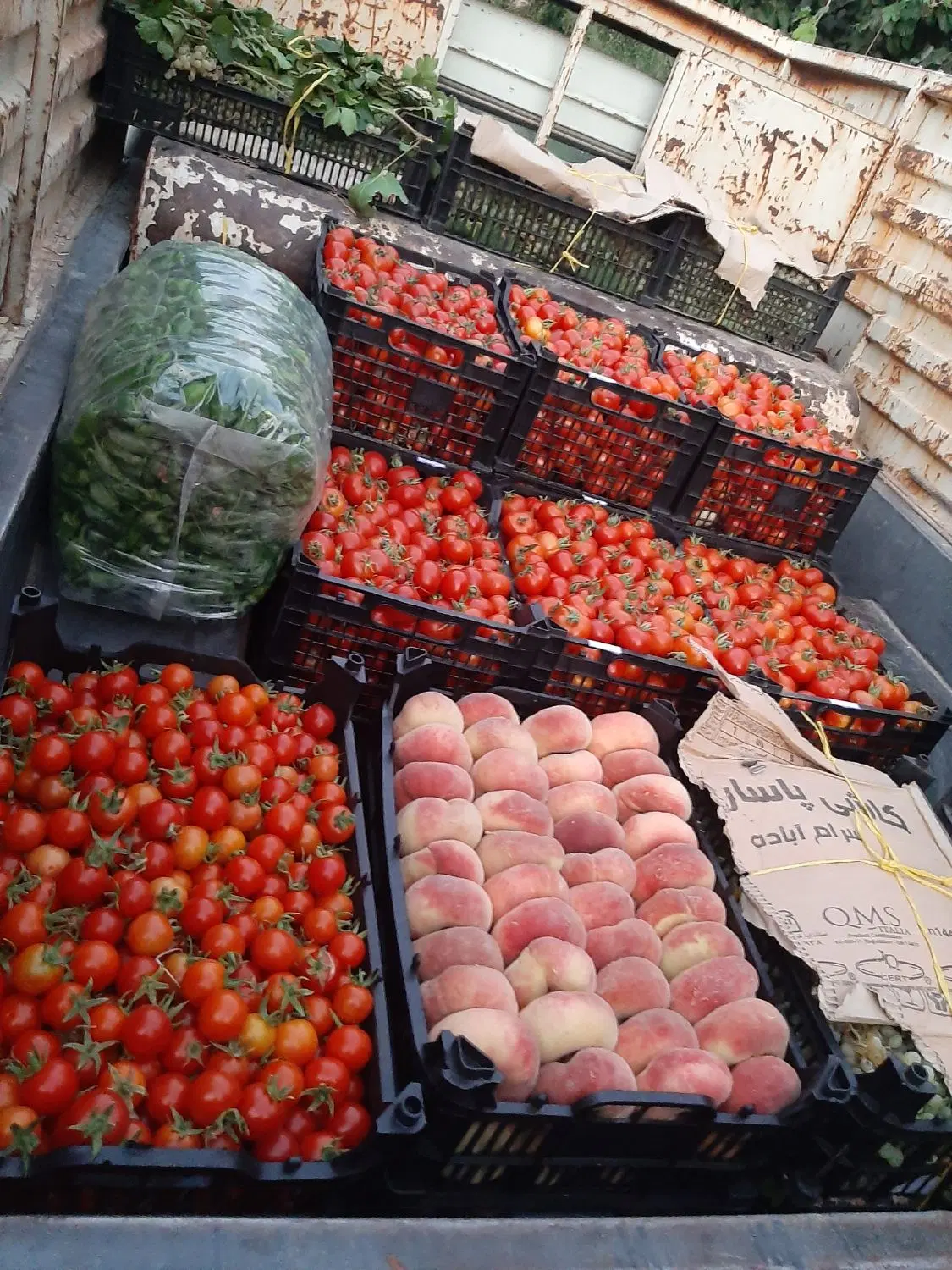 مغازه میدانبار میدان بار