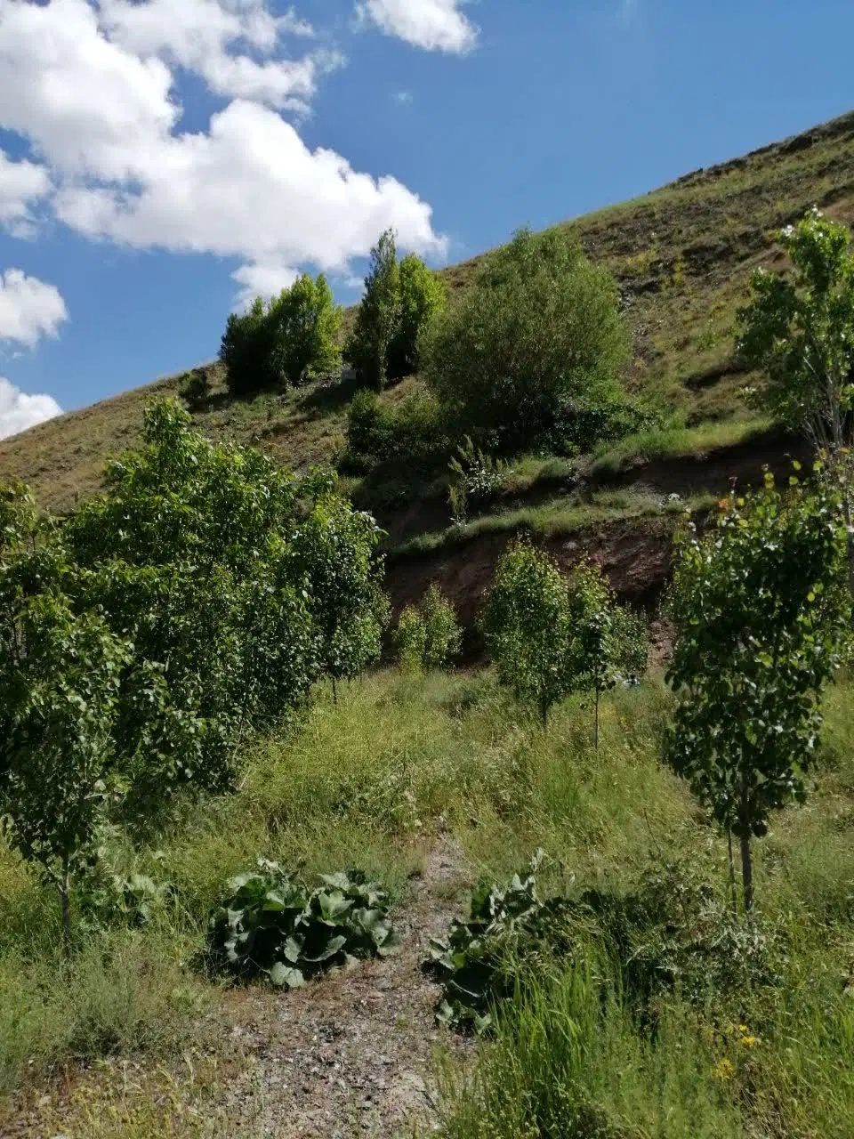 ‌مشارکت درساخت هتل چند منظوره