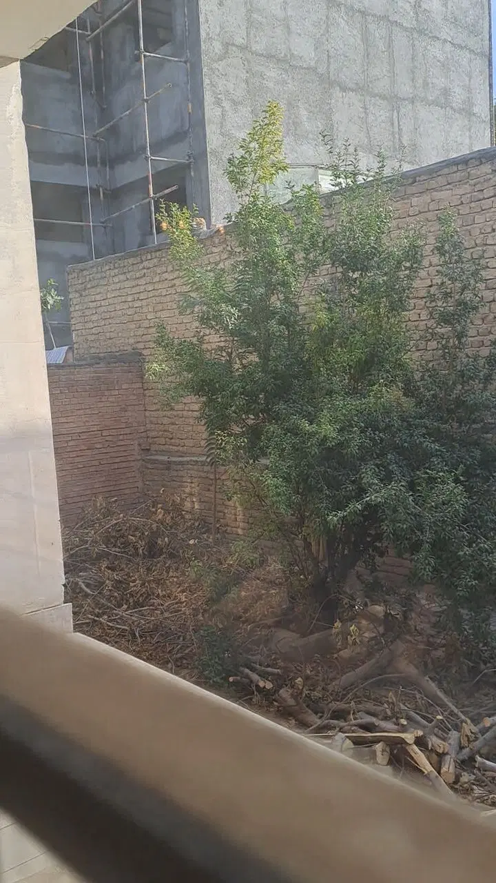 فروش ویلایی ۲۳۰ متری خ فرهنگ