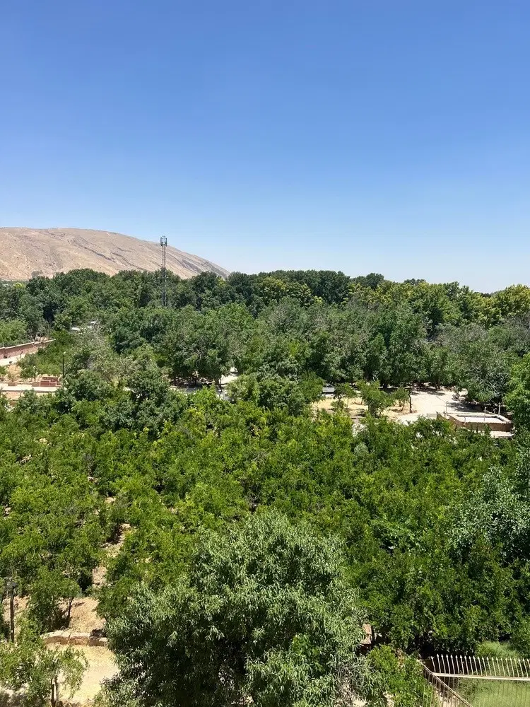 فروش دو خوابه نوساز صفر جنوبی چمران