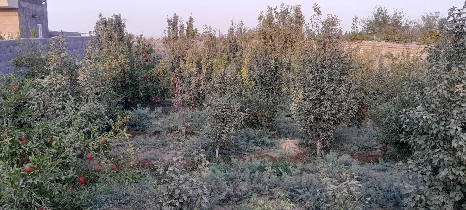 خانه باغ زیبا