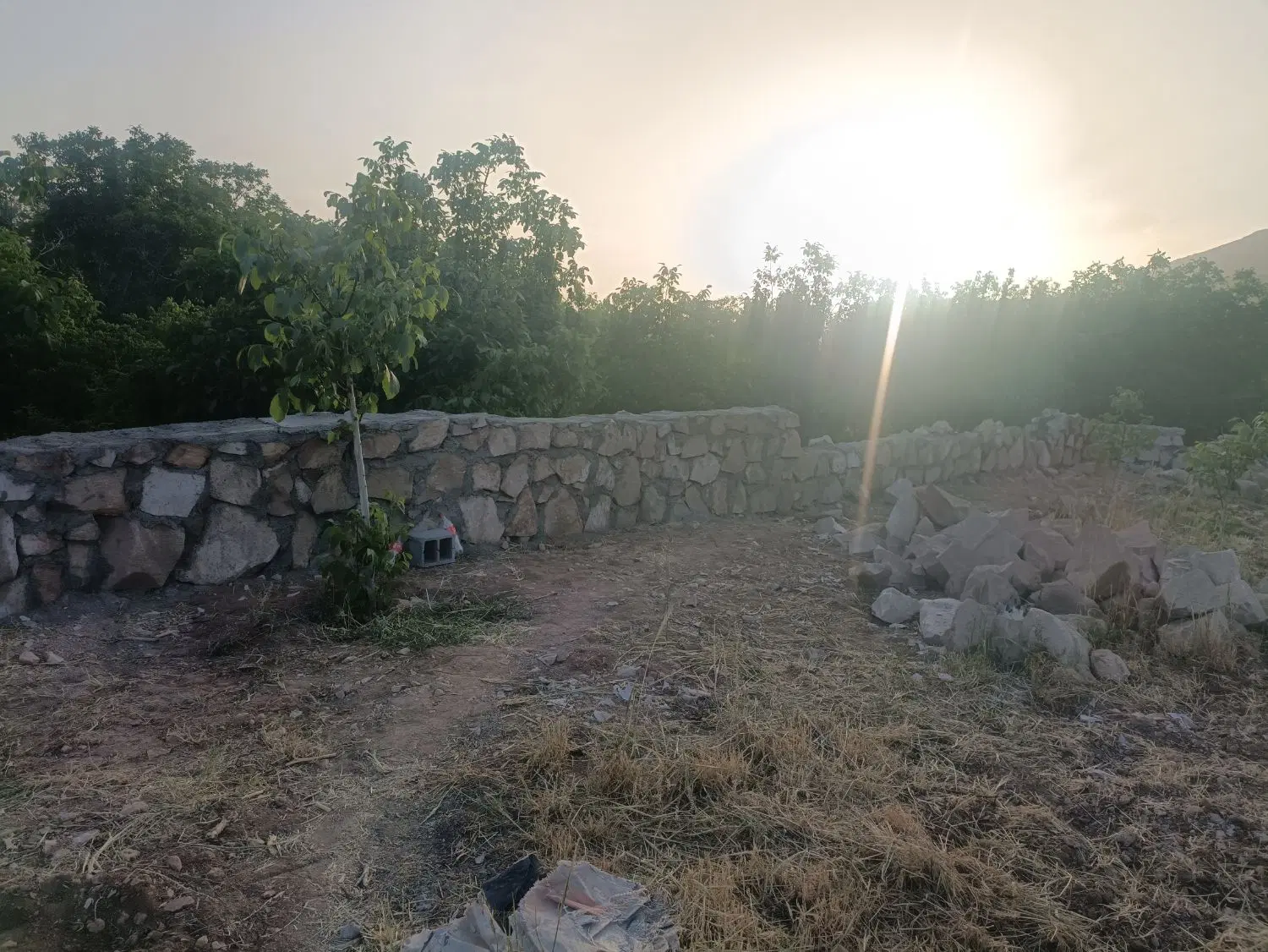 زمین مسکونی در بیدستان