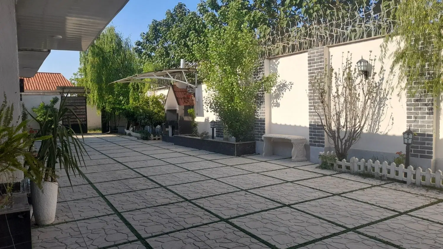 تولدت نمیدم