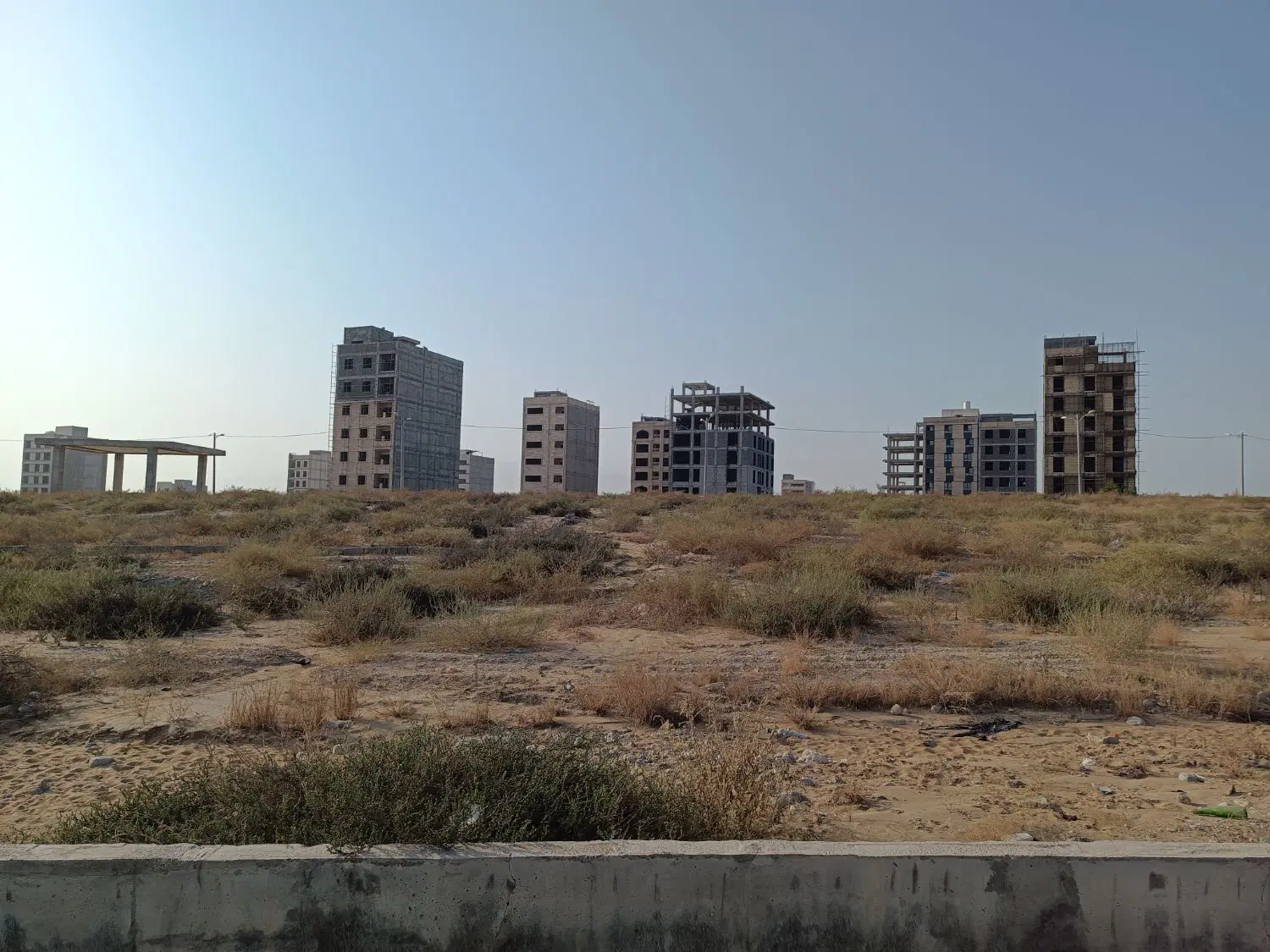 زمین با پروانه کوی ولیعصر