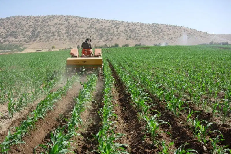 زمین کشاورزی