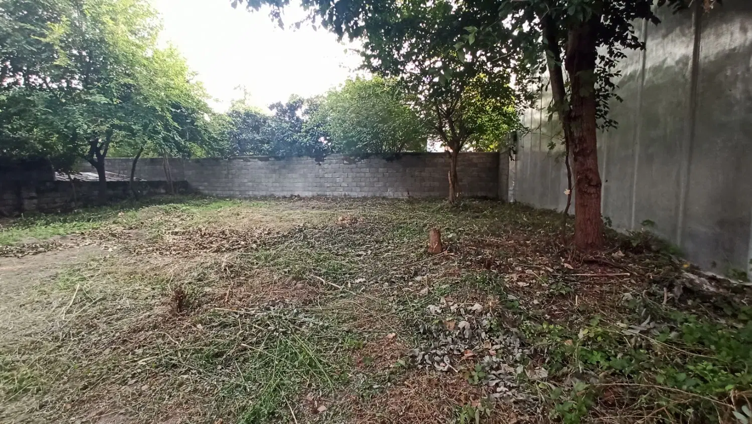زمین با پروانه ساخت