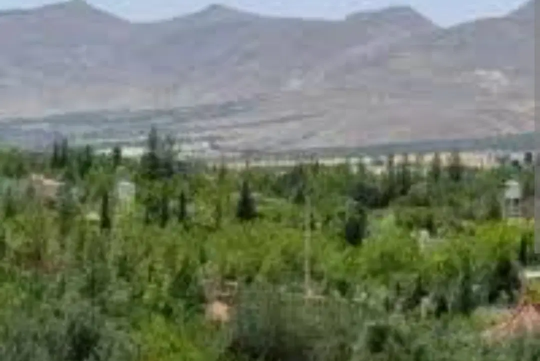 فروش زمین در منطقه ییلاقی شیراز