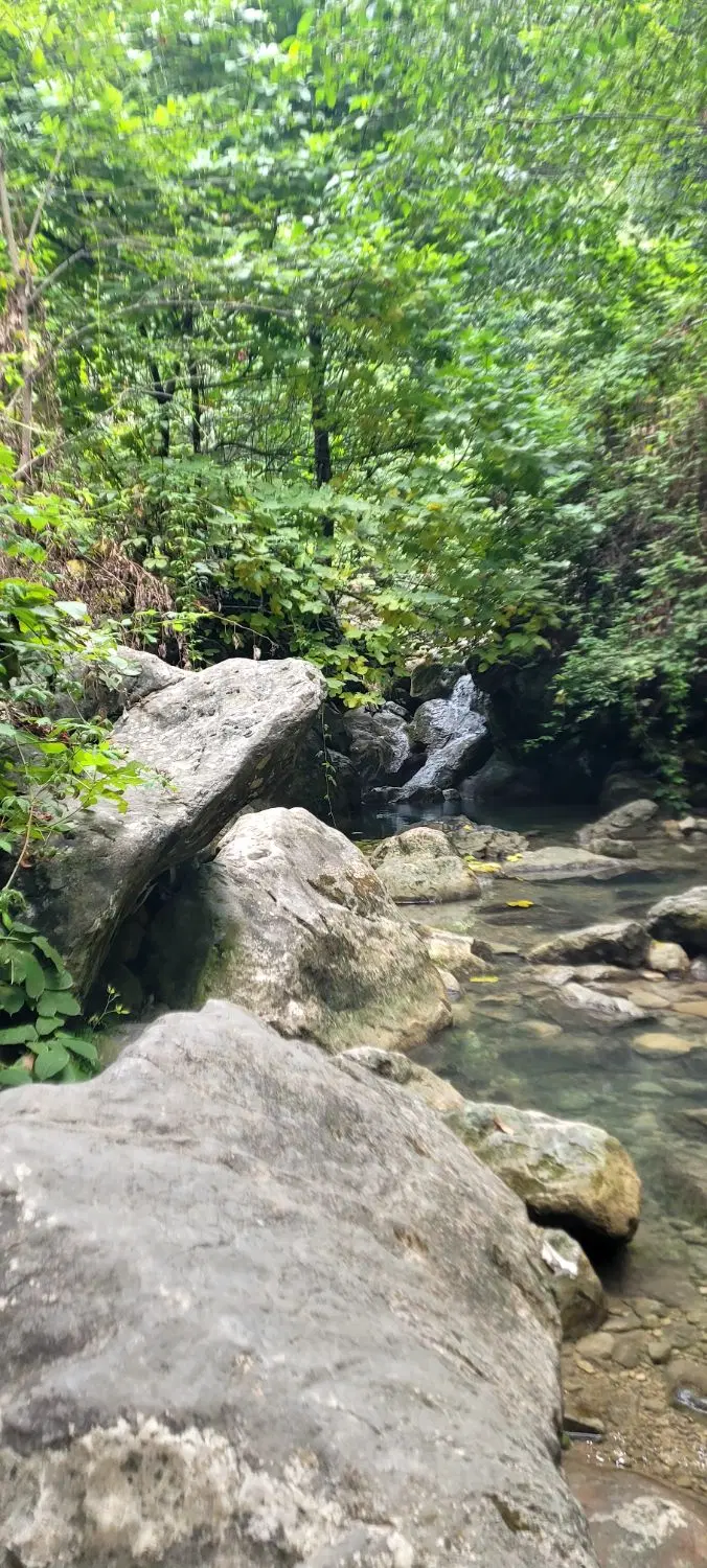 زمین باغی چشمه گیلاس