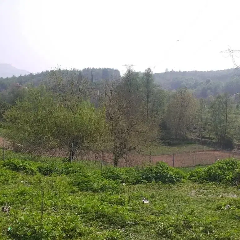 زمین در شیرگاه