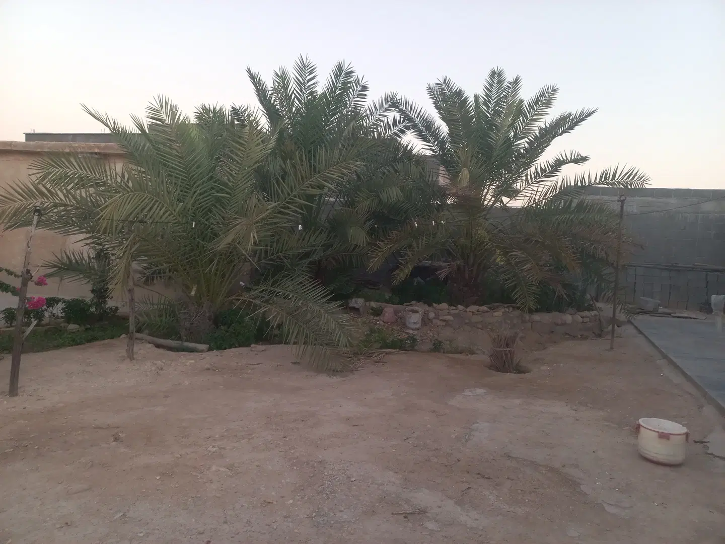 زمین مسکونی درلامرد